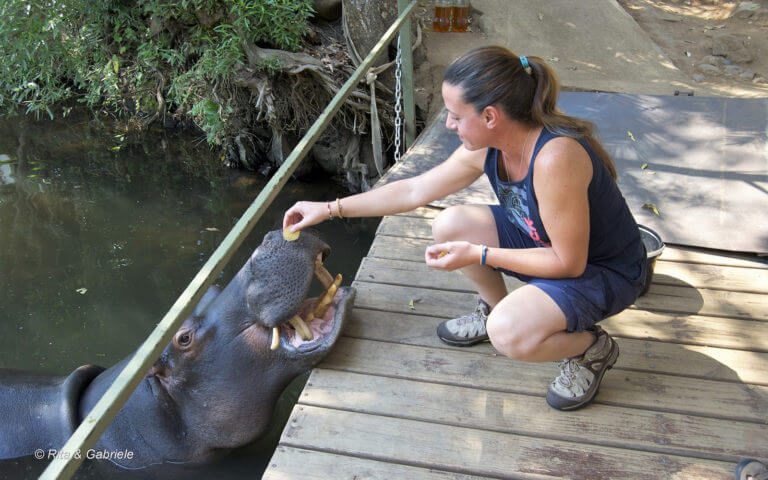 Jessica-Hippo-1.jpg