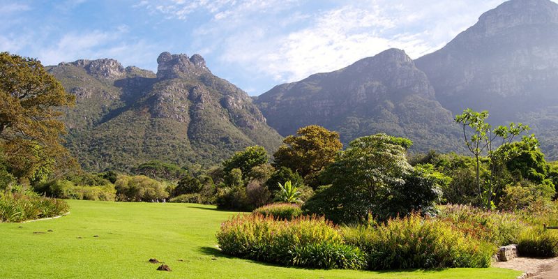 Kirstenbosch-Botanical-Ganrden.jpg