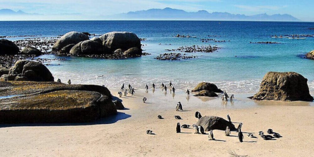 pinguini-a-boulders-2-1-e1679327750882.jpg